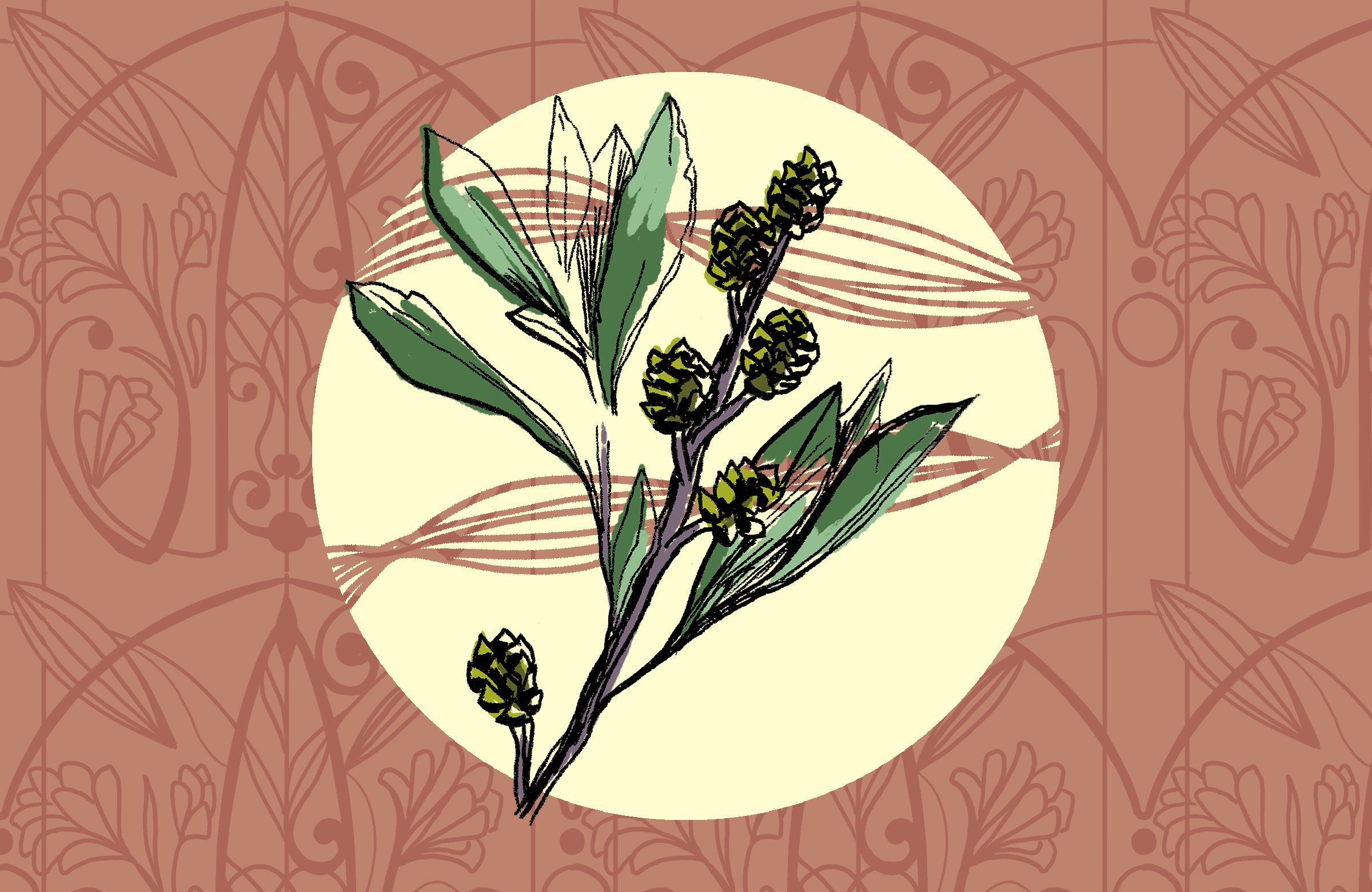 288469355_1164599631059752_2162714094264930227_n