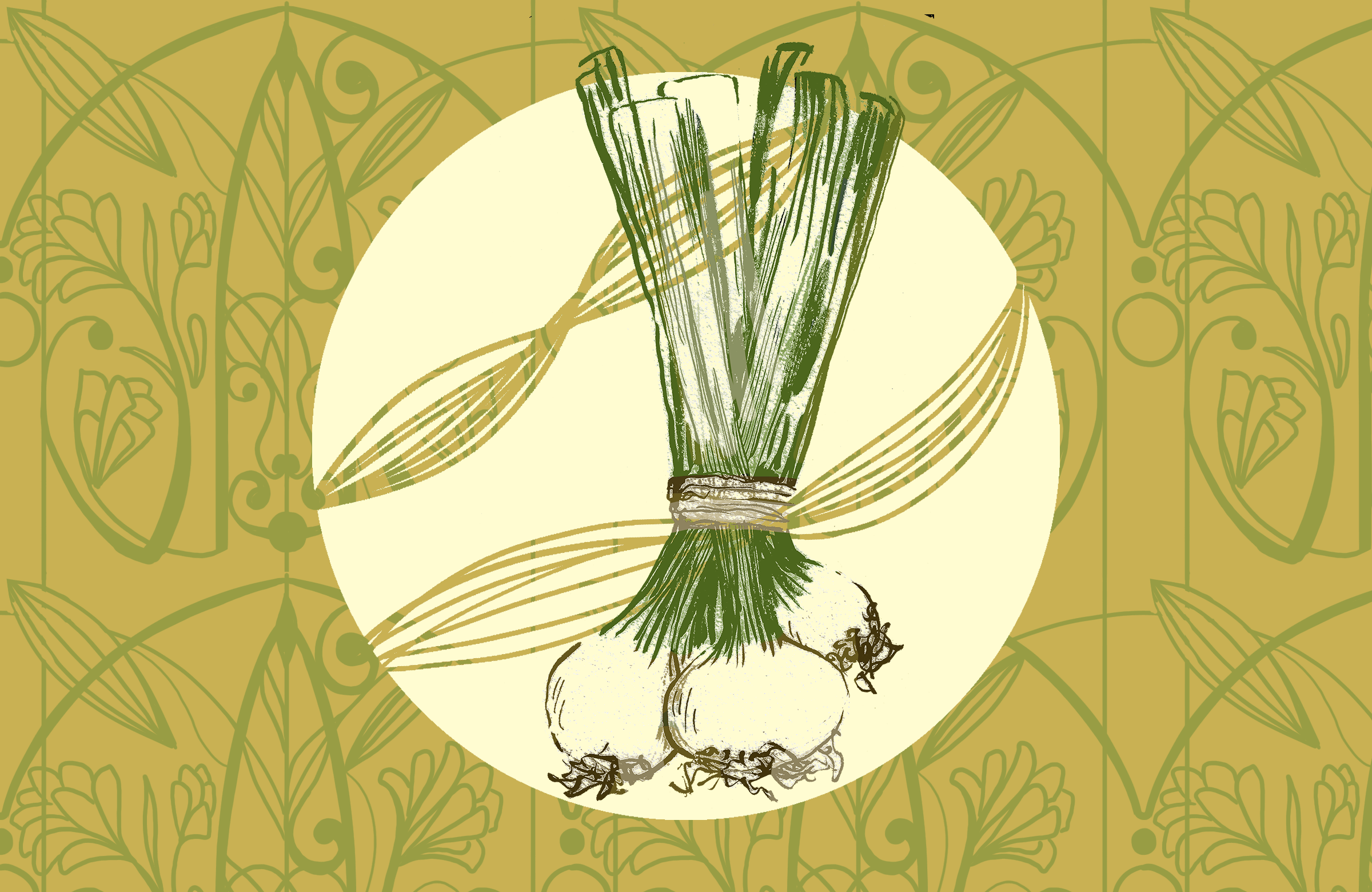 288664109_332807805680964_9022827812968286072_n