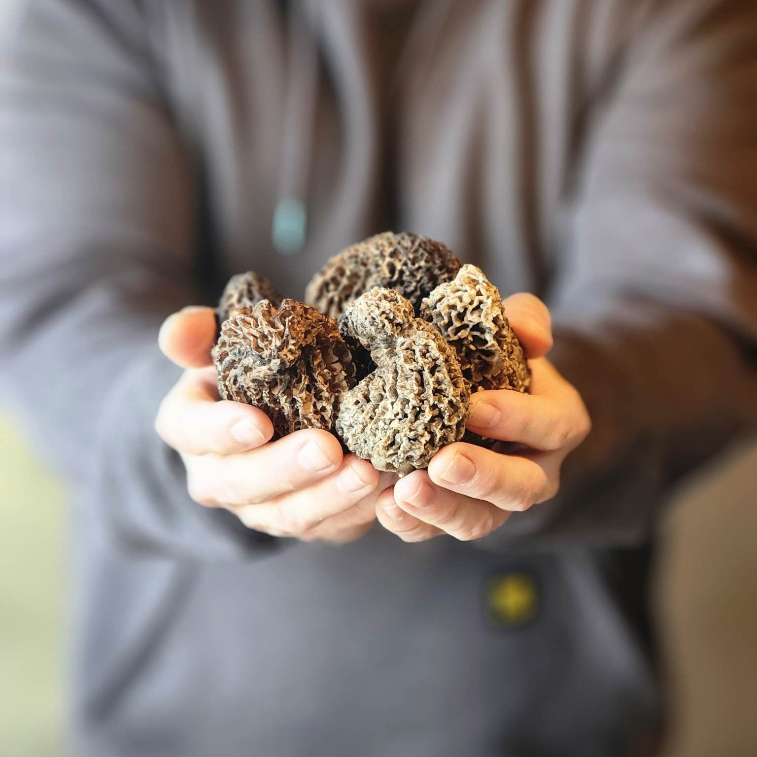 355131411_820643829644330_8731759910064470573_n